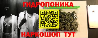скорость Можга