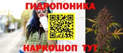 скорость Можга